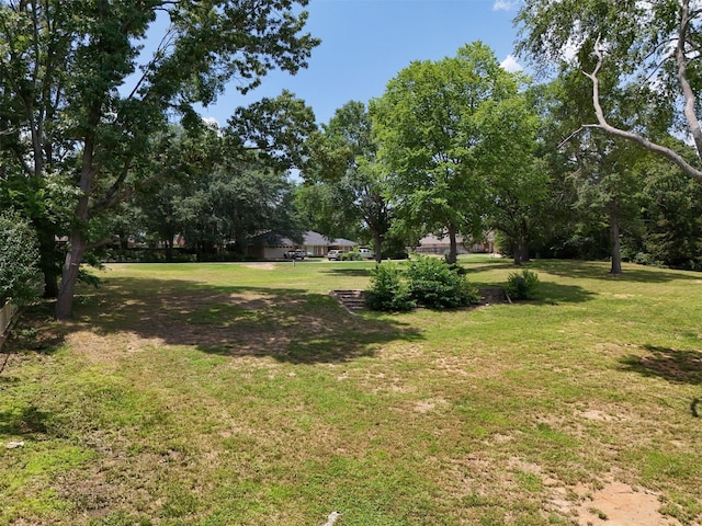 259 S Bay Dr, Bullard, TX 75757 - photo 14