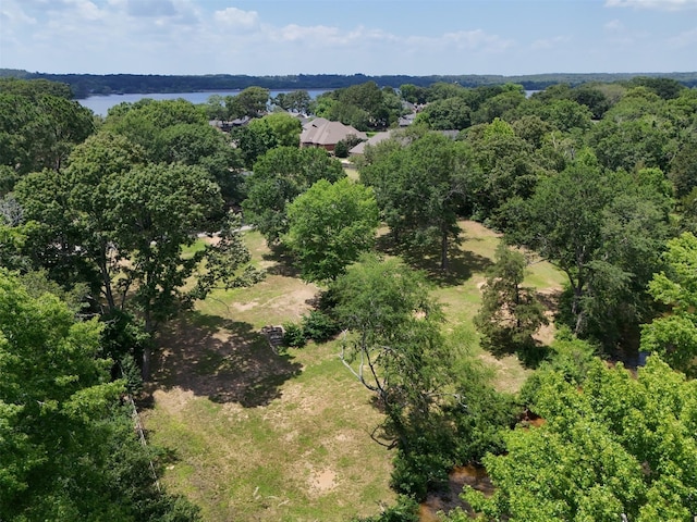 259 S Bay Dr, Bullard, TX 75757 - photo 17