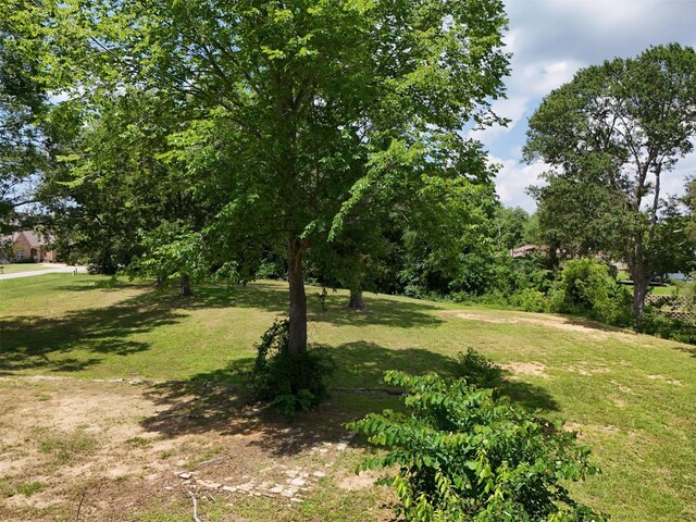 259 S Bay Dr, Bullard, TX 75757 - photo 24