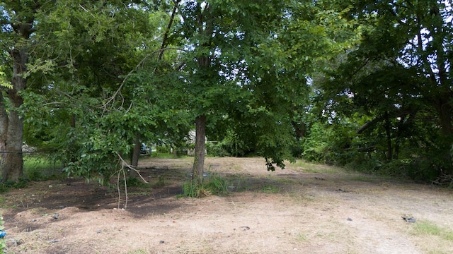 3408 Kirk St, Houston, TX 77026
