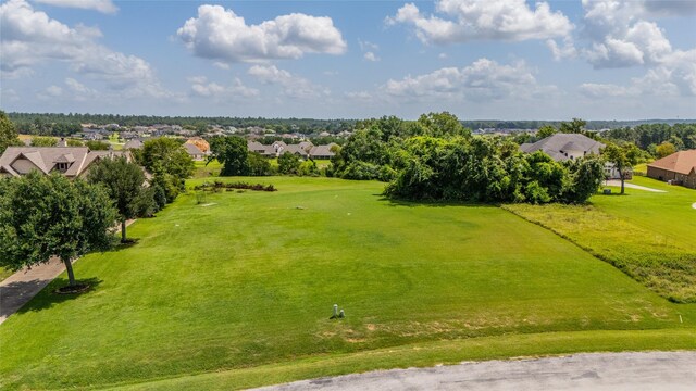 19166 Grandview Pt, Montgomery, TX 77356 - photo 8