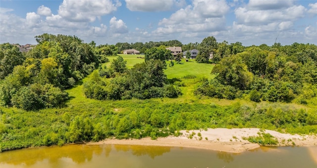 19166 Grandview Pt, Montgomery, TX 77356 - photo 11