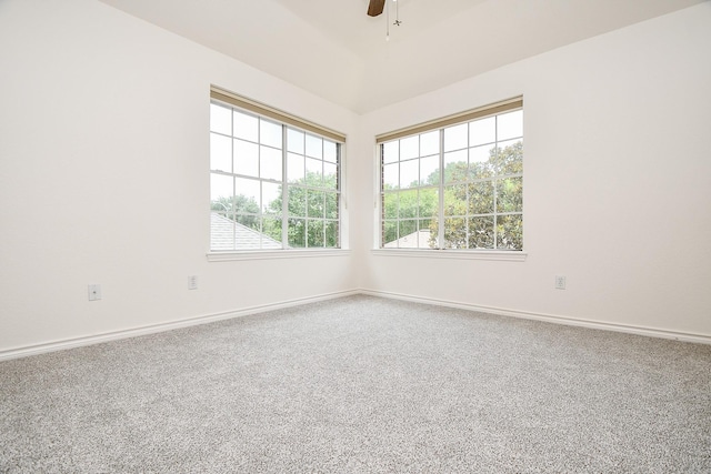 7014 Greatwood Trails Ct, Sugar Land, TX 77479 - photo 42