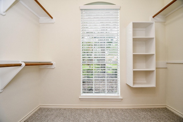 7014 Greatwood Trails Ct, Sugar Land, TX 77479 - photo 21