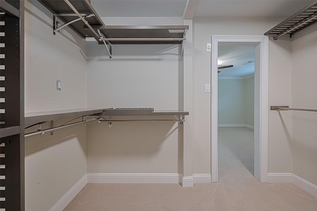 11710 Hillcroft St, Houston, TX 77035 - walk in closet with carpet floors