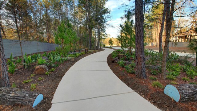 16630 Jolie St, Conroe, TX 77302 - photo 9