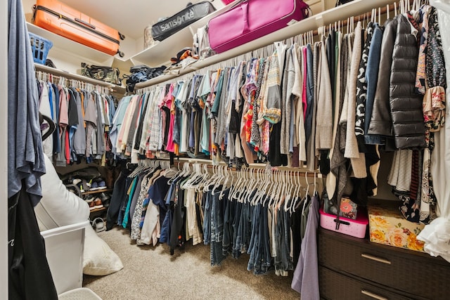 1114 Commons Waterway Dr, Huffman, TX 77336 - spacious closet featuring carpet flooring