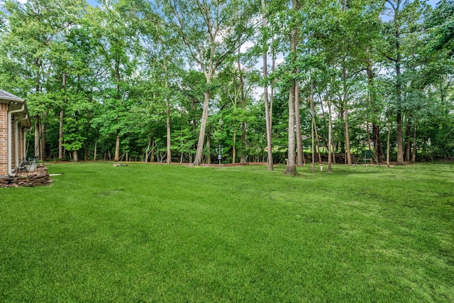 1114 Commons Waterway Dr, Huffman, TX 77336 - view of green lawn