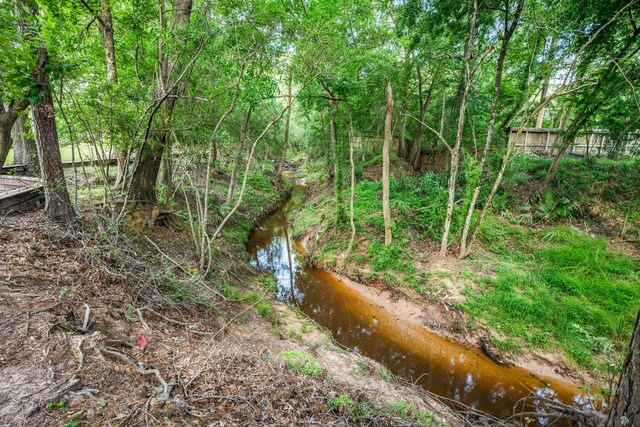 1114 Commons Waterway Dr, Huffman, TX 77336 - view of local wilderness