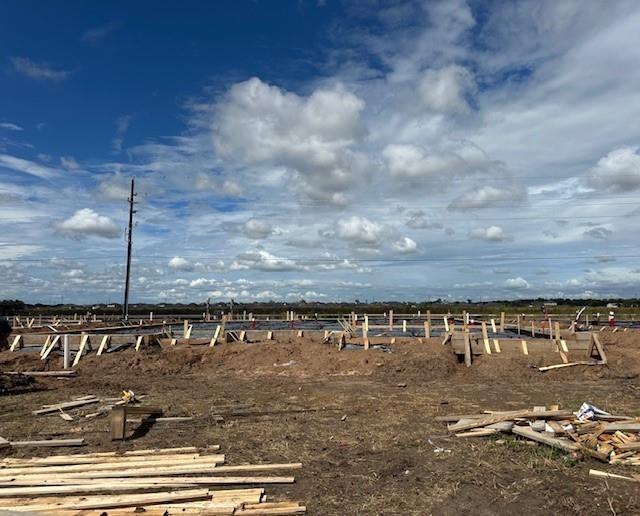 21643 Cottage Ln, New Caney, TX 77357 - view of yard