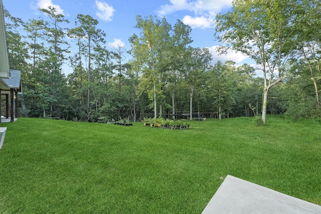 333 County Road 6324, Dayton, TX 77535 - photo 22