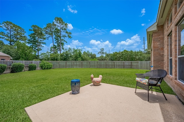 15902 Mill Canyon Ct, Cypress, TX 77429 - fenced backyard featuring a patio