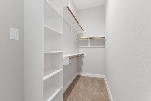 806 E 39th St Unit A, Houston, TX 77022 - spacious closet featuring carpet floors