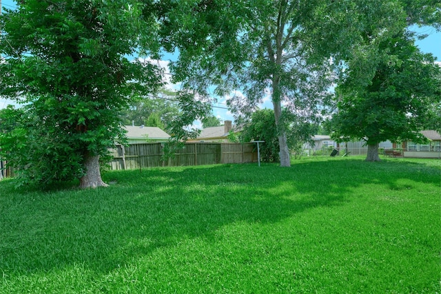 3214 Stallings Dr, Houston, TX 77088 - view of yard