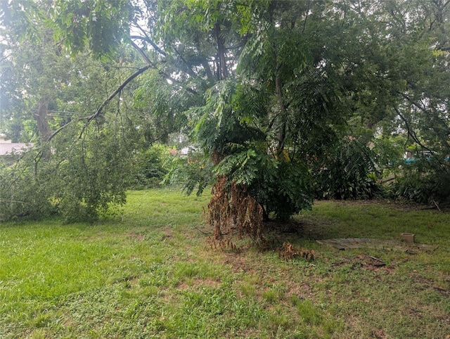 8343 Bonner, Houston, TX 77017 - view of undeveloped land