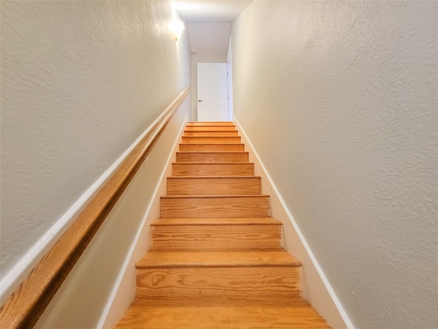 7315 Muirfield Valley Dr, Houston, TX 77095 - photo 28