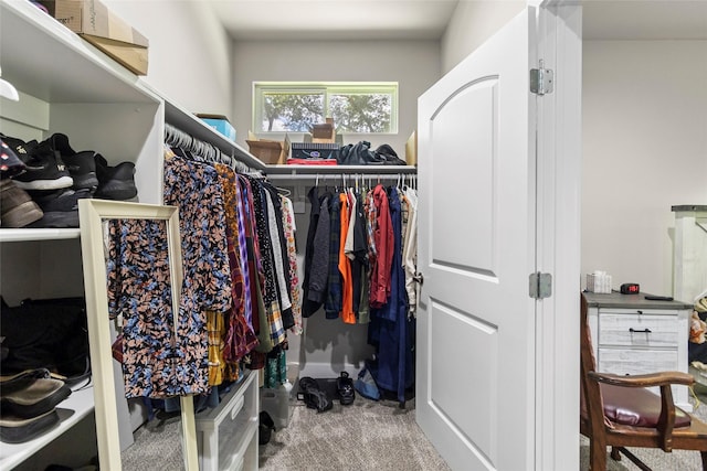 224 Evergreen Dr, Huntsville, TX 77340 - walk in closet featuring carpet floors