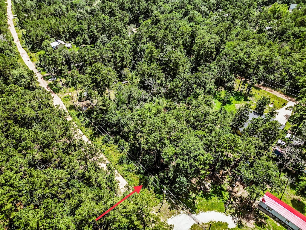 TBD Scarlet Oak Dr, Plantersville, TX 77363 - photo 1