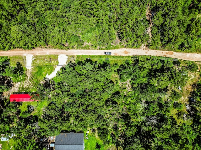 TBD Scarlet Oak Dr, Plantersville, TX 77363 - photo 2