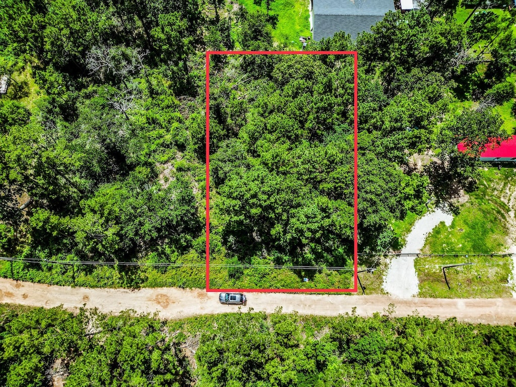 TBD Scarlet Oak Dr, Plantersville, TX 77363 - photo 3