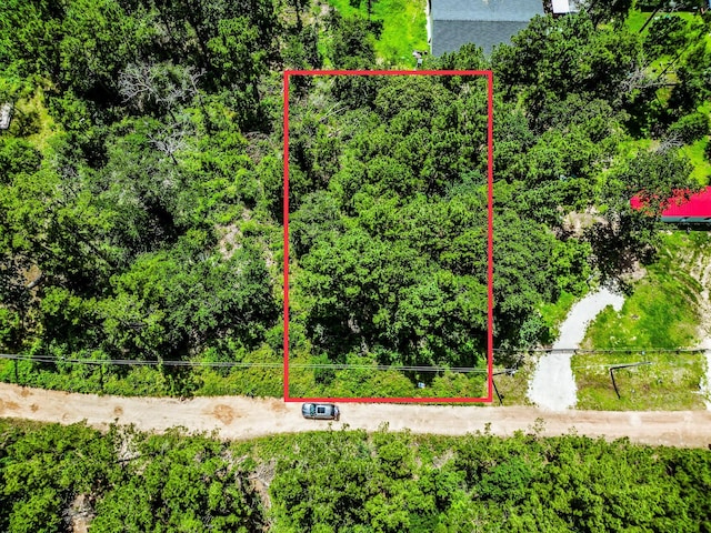 TBD Scarlet Oak Dr, Plantersville, TX 77363 - photo 3