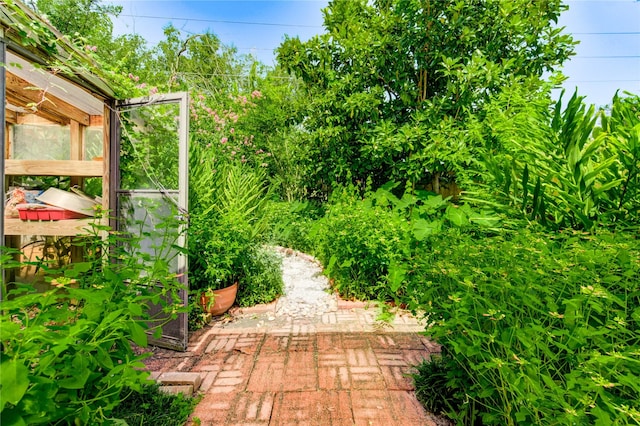 3831 Wood Stone Walk Dr, Houston, TX 77084 - view of yard