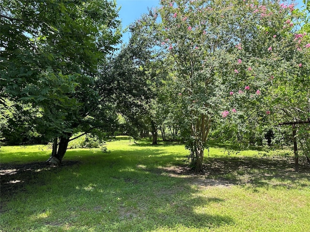 1102 N Battlebell Rd, Highlands, TX 77562 - photo 4