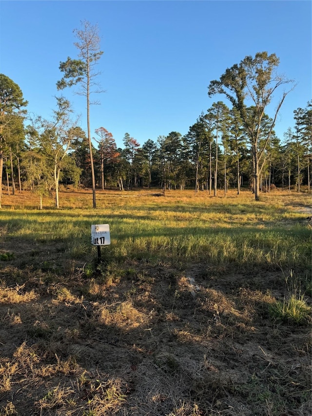 17 County Road 147, Centerville, TX 75833 - photo 1