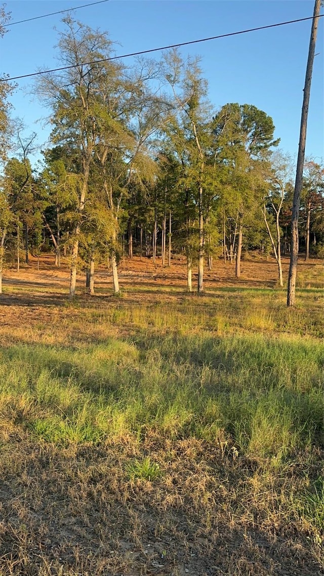 17 County Road 147, Centerville, TX 75833 - photo 4