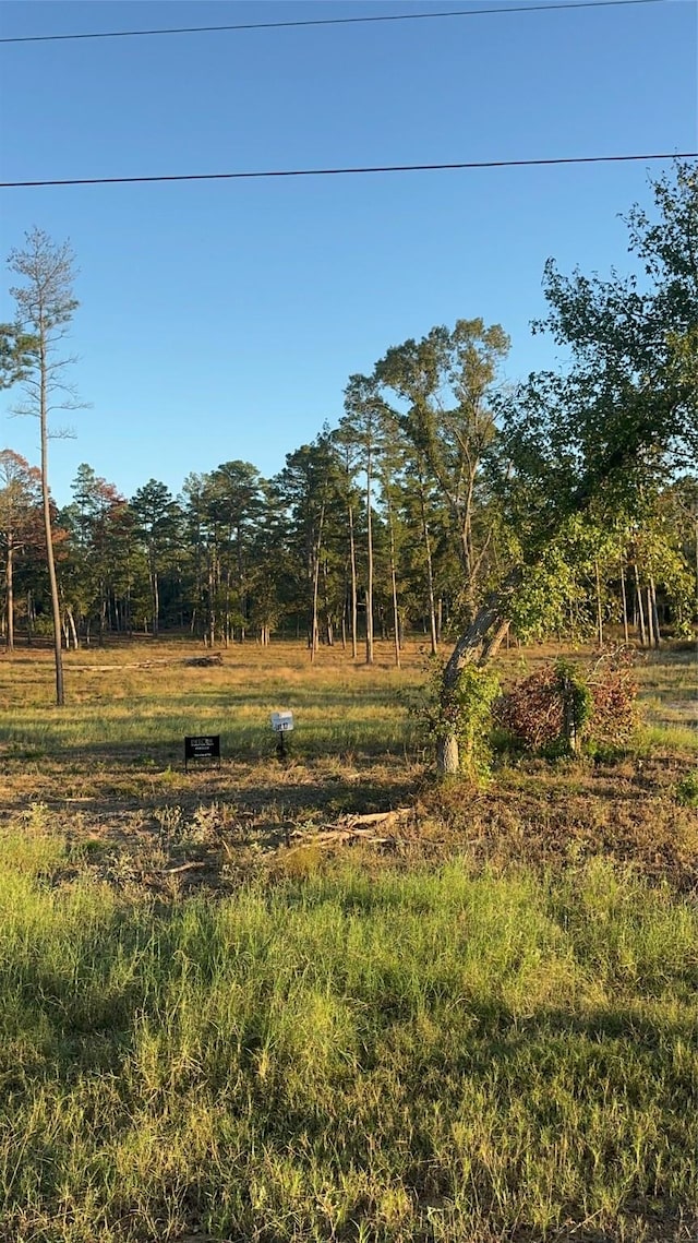 17 County Road 147, Centerville, TX 75833 - photo 5