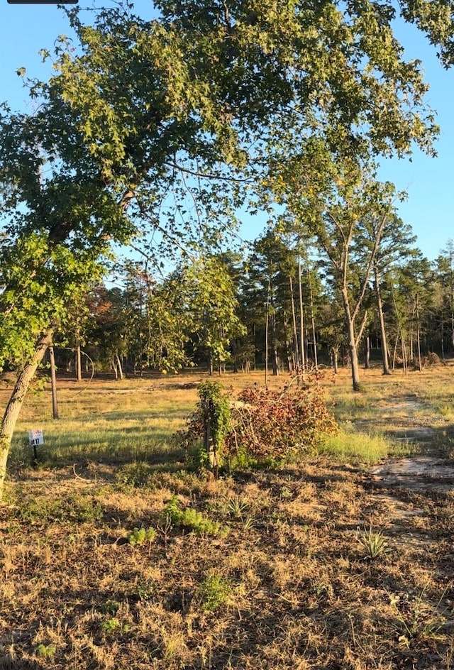 17 County Road 147, Centerville, TX 75833 - photo 9