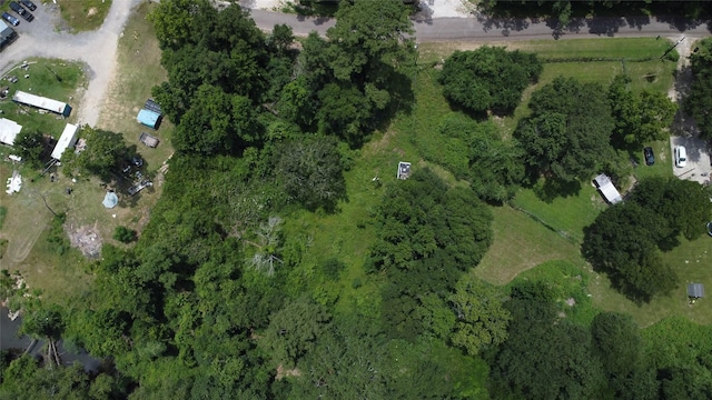 7027 Allen Rd, Conroe, TX 77304 - photo 13