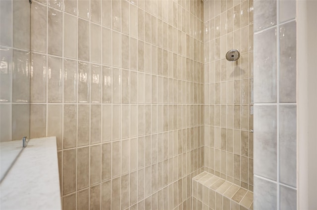 161 Pine Branch Dr, Montgomery, TX 77356 - full bathroom with a tile shower