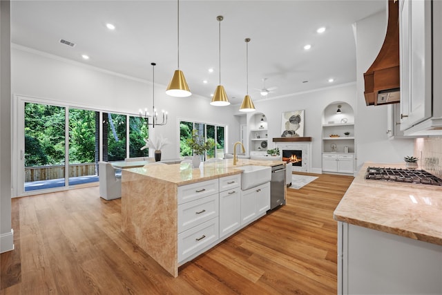 161 Pine Branch Dr, Montgomery, TX 77356 - kitchen featuring premium range hood, a glass covered fireplace, stainless steel appliances, ornamental molding, and light stone countertops