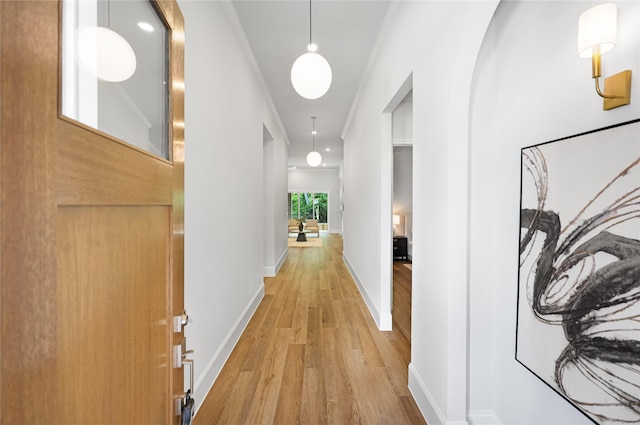 161 Pine Branch Dr, Montgomery, TX 77356 - corridor featuring light wood finished floors and crown molding