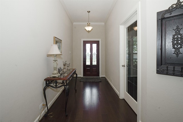 28407 Kinglet Pines Dr, Katy, TX 77494 - foyer with dark wood finished floors and ornamental molding