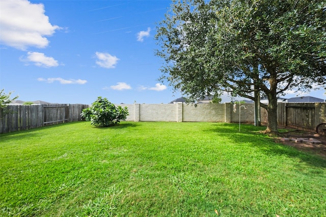 28407 Kinglet Pines Dr, Katy, TX 77494 - view of fenced backyard