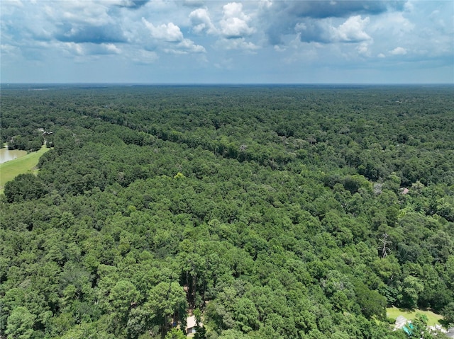 27927 Nichols Sawmill Rd, Magnolia, TX 77355 - photo 4