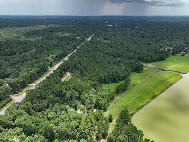 27927 Nichols Sawmill Rd, Magnolia, TX 77355 - photo 12