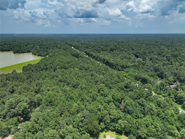 27927 Nichols Sawmill Rd, Magnolia, TX 77355 - photo 3