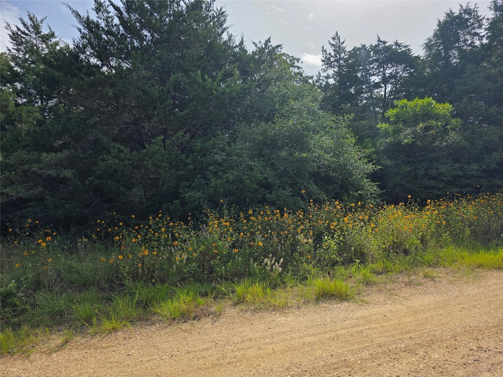 TBD Maple Dr, Caldwell, TX 77836