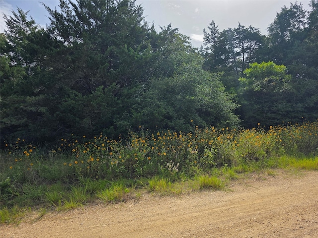 TBD Maple Dr, Caldwell, TX 77836