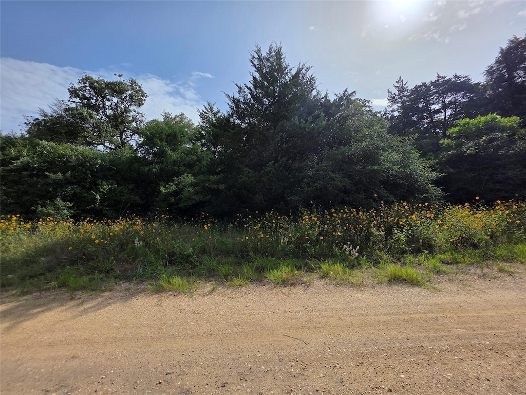 TBD Maple Dr, Caldwell, TX 77836