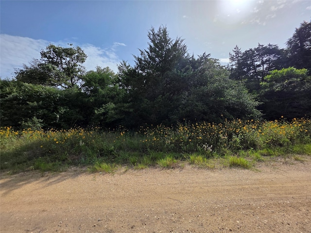 TBD Maple Dr, Caldwell, TX 77836