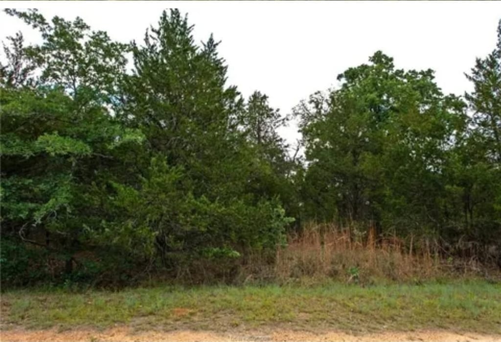 TBD Maple Dr, Caldwell, TX 77836
