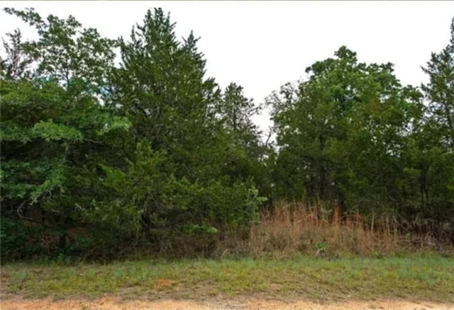 TBD Maple Dr, Caldwell, TX 77836