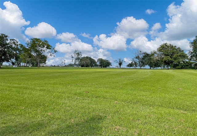 210 Hogan Ln, Hempstead, TX 77445 - view of grassy yard