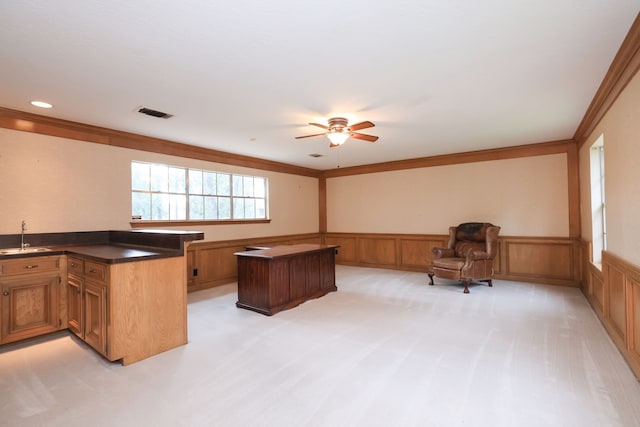 9327 Tranquil Park Dr, Spring, TX 77379 - unfurnished office with a ceiling fan, wainscoting, ornamental molding, and light carpet