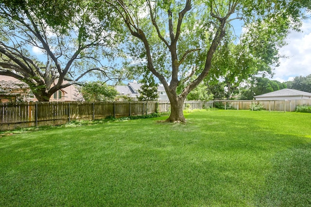 2622 Williams Grant St, Sugar Land, TX 77479 - view of fenced backyard