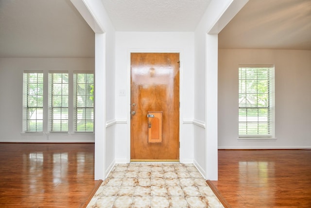2622 Williams Grant St, Sugar Land, TX 77479 - entrance foyer featuring healthy amount of natural light and wood finished floors